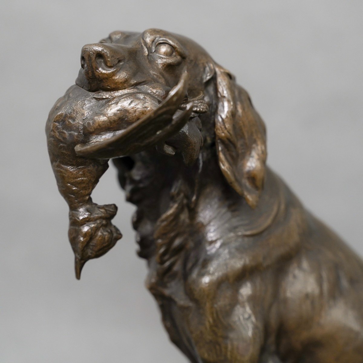 Sculpture - Pair Of Game Hunting Dogs , Ferdinand Pautrot (1832 - 1874) - Bronze-photo-5