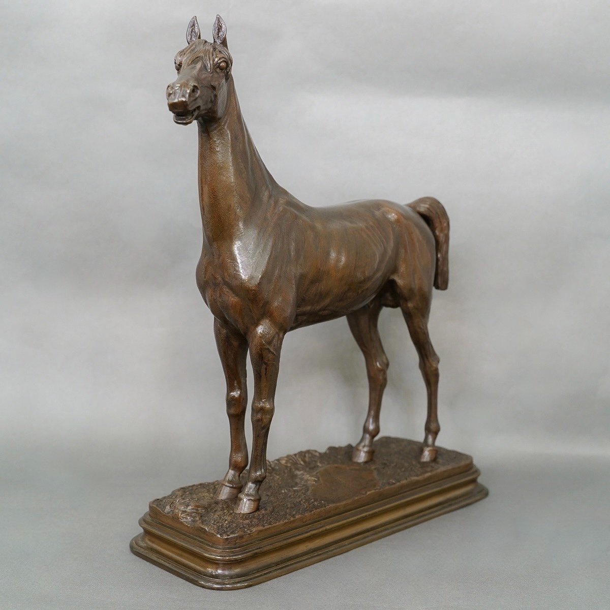 Sculpture - Thoroughbred Horse "kaolin" , Alfred Dubucand (1828 - 1894) - Bronze -photo-2