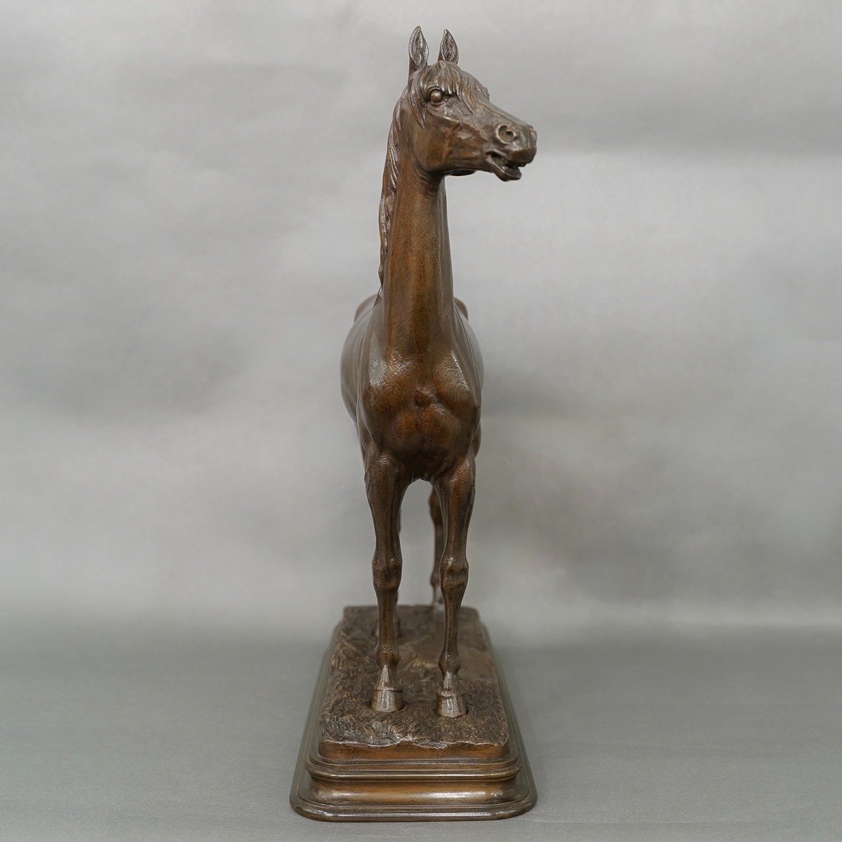 Sculpture - Thoroughbred Horse "kaolin" , Alfred Dubucand (1828 - 1894) - Bronze -photo-3