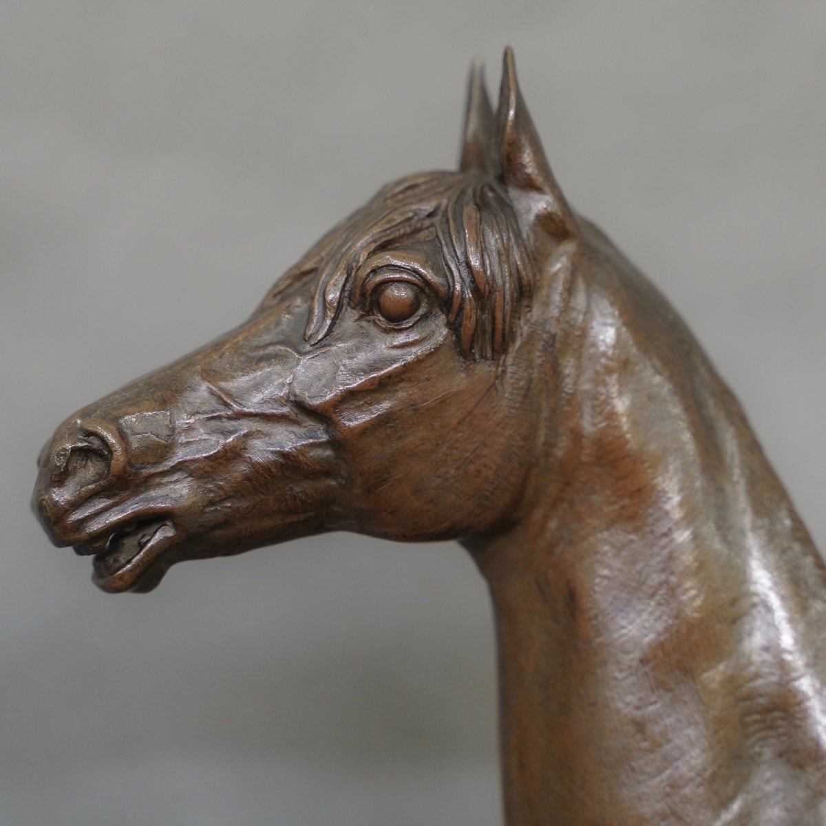 Sculpture - Thoroughbred Horse "kaolin" , Alfred Dubucand (1828 - 1894) - Bronze -photo-4