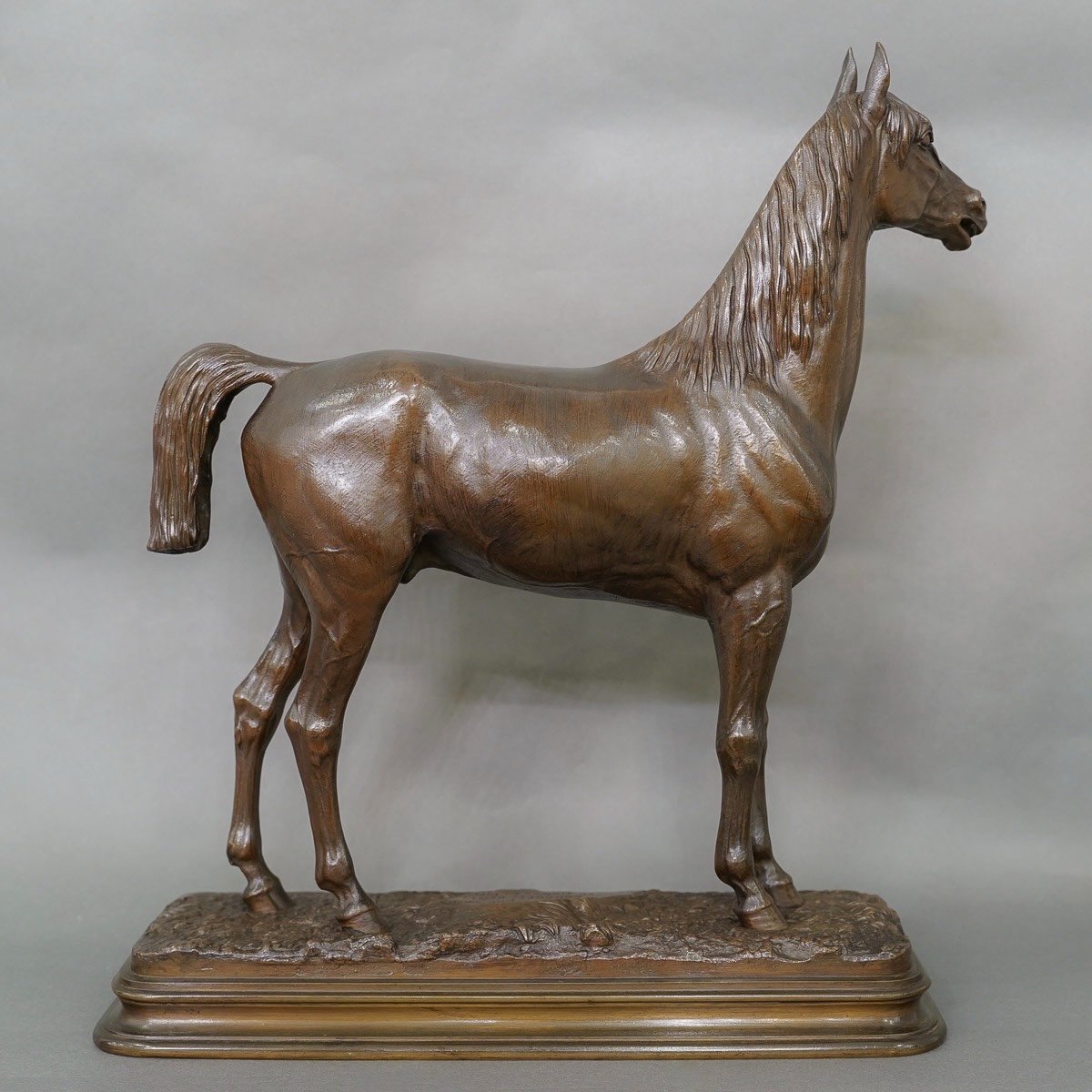 Sculpture - Thoroughbred Horse "kaolin" , Alfred Dubucand (1828 - 1894) - Bronze -photo-1