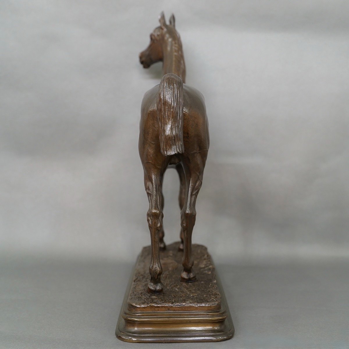 Sculpture - Thoroughbred Horse "kaolin" , Alfred Dubucand (1828 - 1894) - Bronze -photo-2