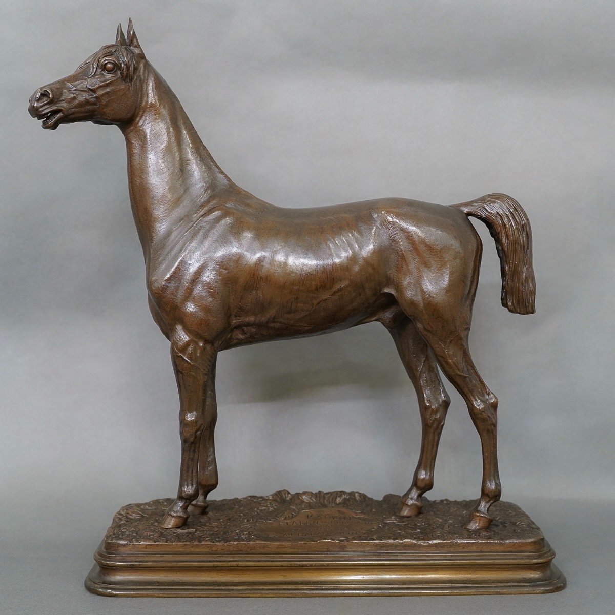 Sculpture - Thoroughbred Horse "kaolin" , Alfred Dubucand (1828 - 1894) - Bronze 