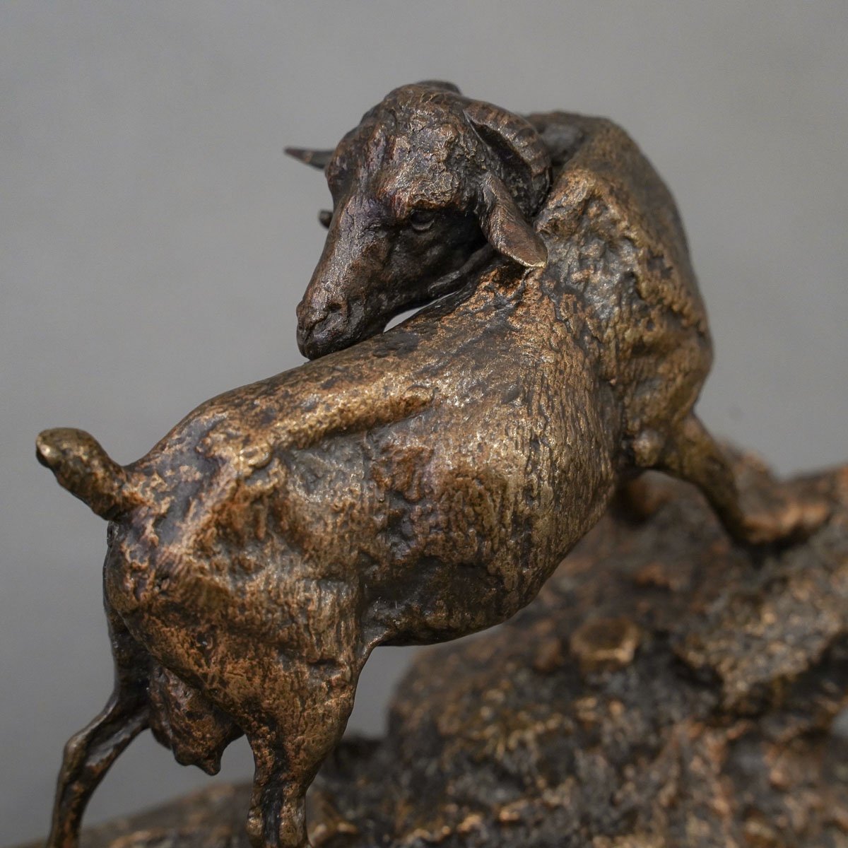 Sculpture - " Chêvre De l'Inde ", Pierre - Jules Mêne (1810-1879) - Bronze-photo-2