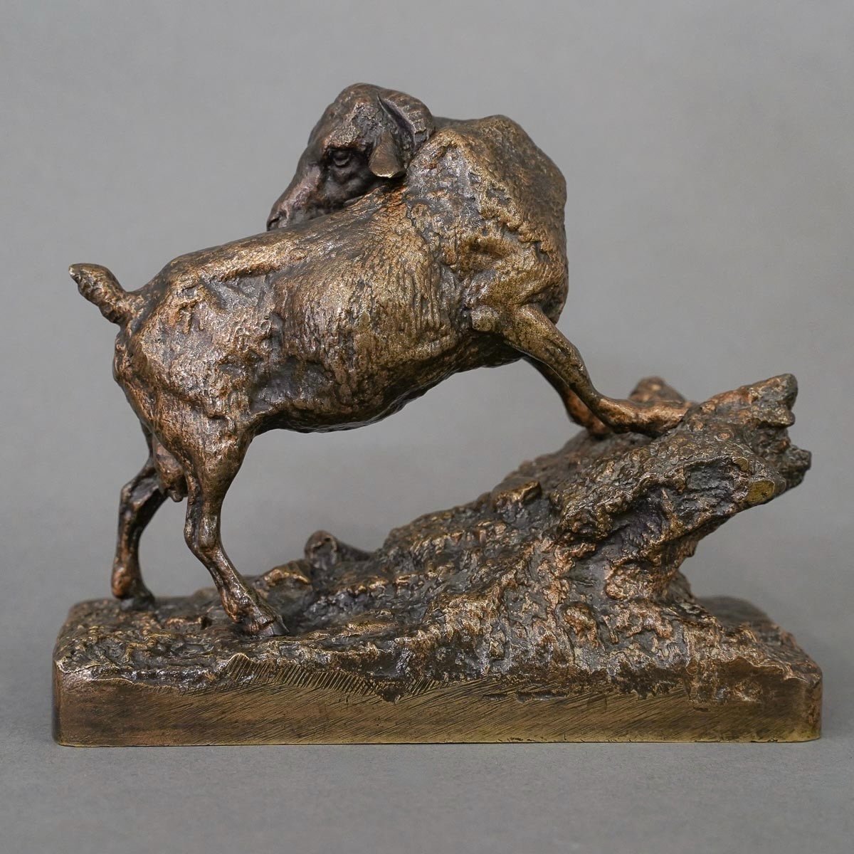 Sculpture - " Chêvre De l'Inde ", Pierre - Jules Mêne (1810-1879) - Bronze-photo-3