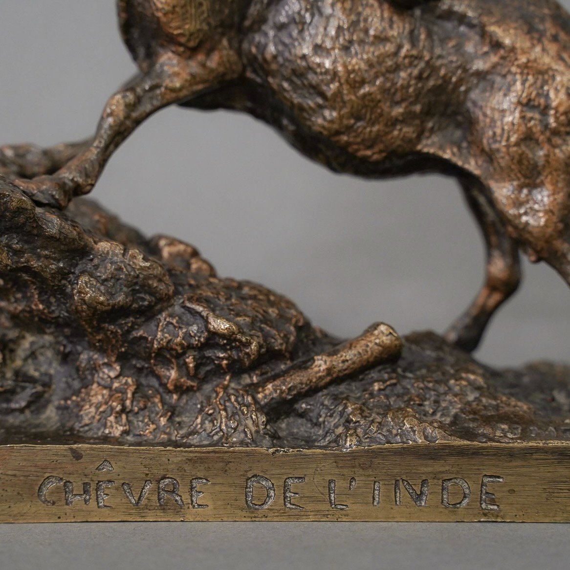 Sculpture - " Chêvre De l'Inde ", Pierre - Jules Mêne (1810-1879) - Bronze-photo-1
