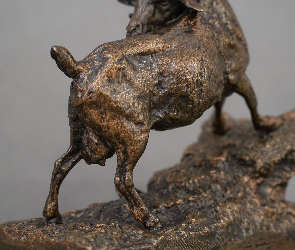 Sculpture - " Chêvre De l'Inde ", Pierre - Jules Mêne (1810-1879) - Bronze-photo-4