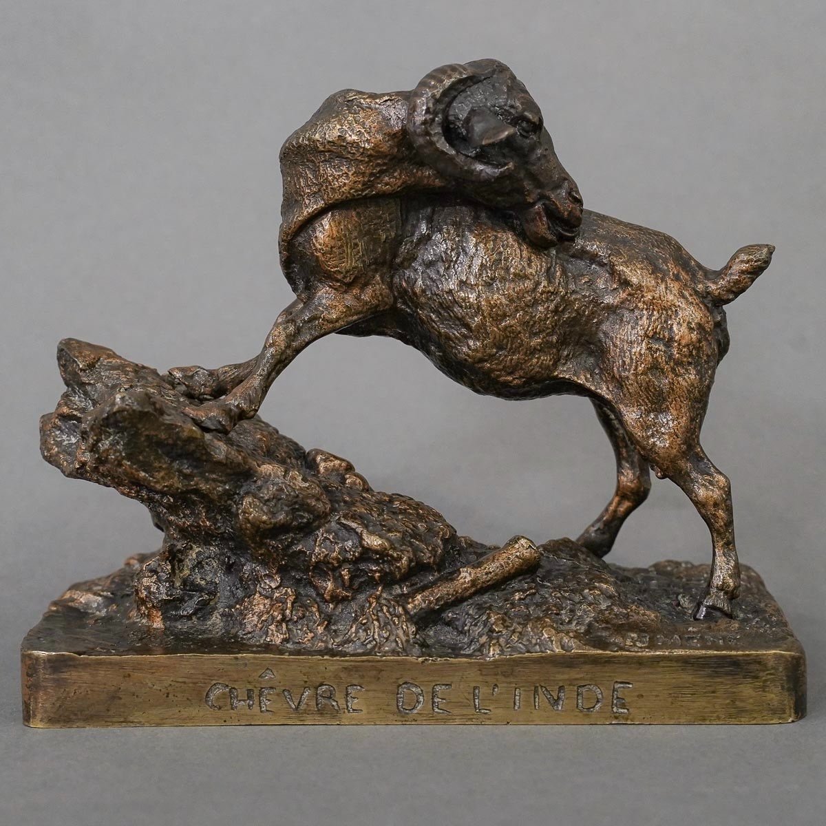 Sculpture - " Chêvre De l'Inde ", Pierre - Jules Mêne (1810-1879) - Bronze