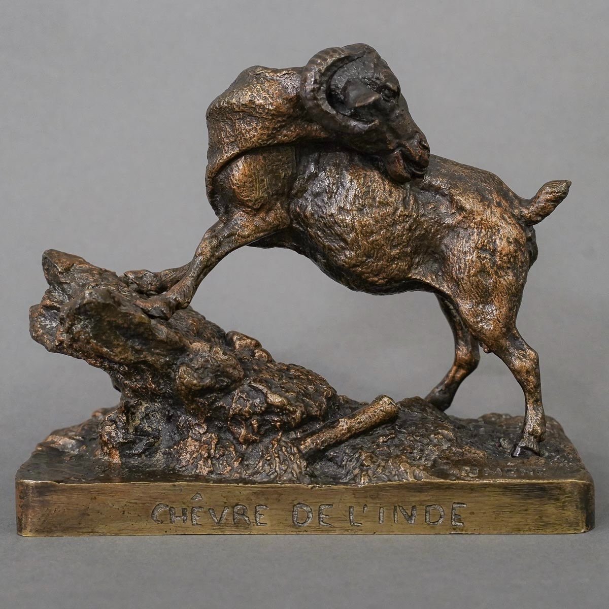 Sculpture - " Chêvre De l'Inde ", Pierre - Jules Mêne (1810-1879) - Bronze