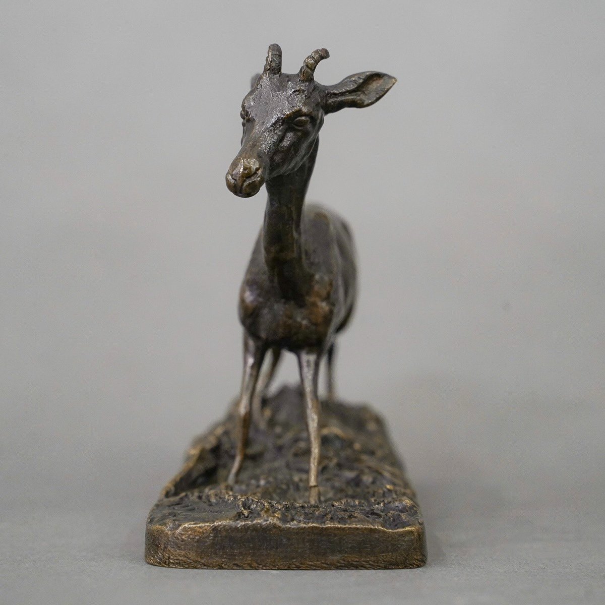 Sculpture - Gazelle , Pierre - Jules Mêne (1810-1879) - Bronze-photo-2