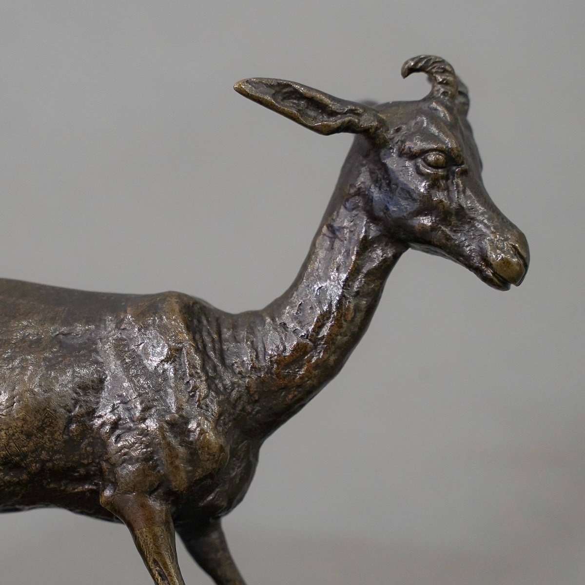 Sculpture - Gazelle , Pierre - Jules Mêne (1810-1879) - Bronze-photo-3