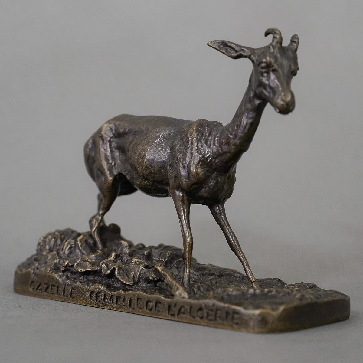 Sculpture - Gazelle , Pierre - Jules Mêne (1810-1879) - Bronze-photo-4