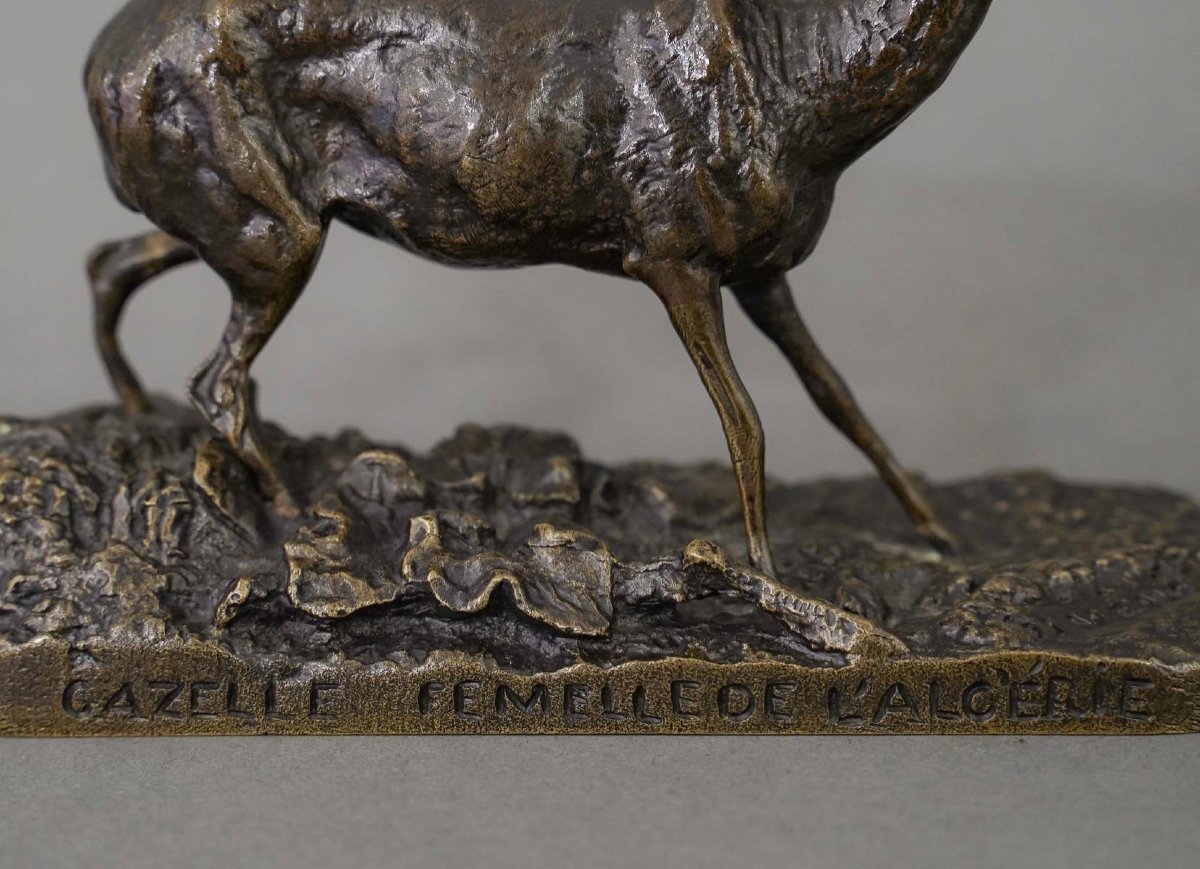 Sculpture - Gazelle , Pierre - Jules Mêne (1810-1879) - Bronze-photo-1