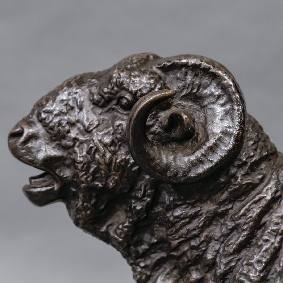 Sculpture - Ram , Isidore Jules Bonheur (1827-1901) / "peyrol" - Bronze-photo-4