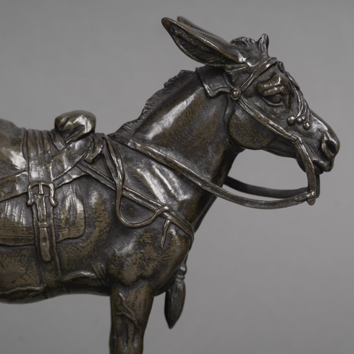 Sculpture - Donkey  , Alfred Barye (1839-1895) - Bronze-photo-3