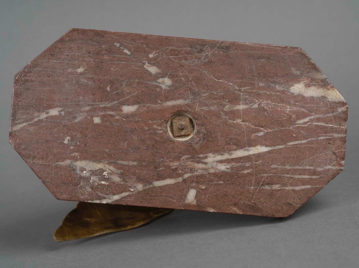 Famille de canards , Pierre -Jules Mêne (1810-1879)-photo-4