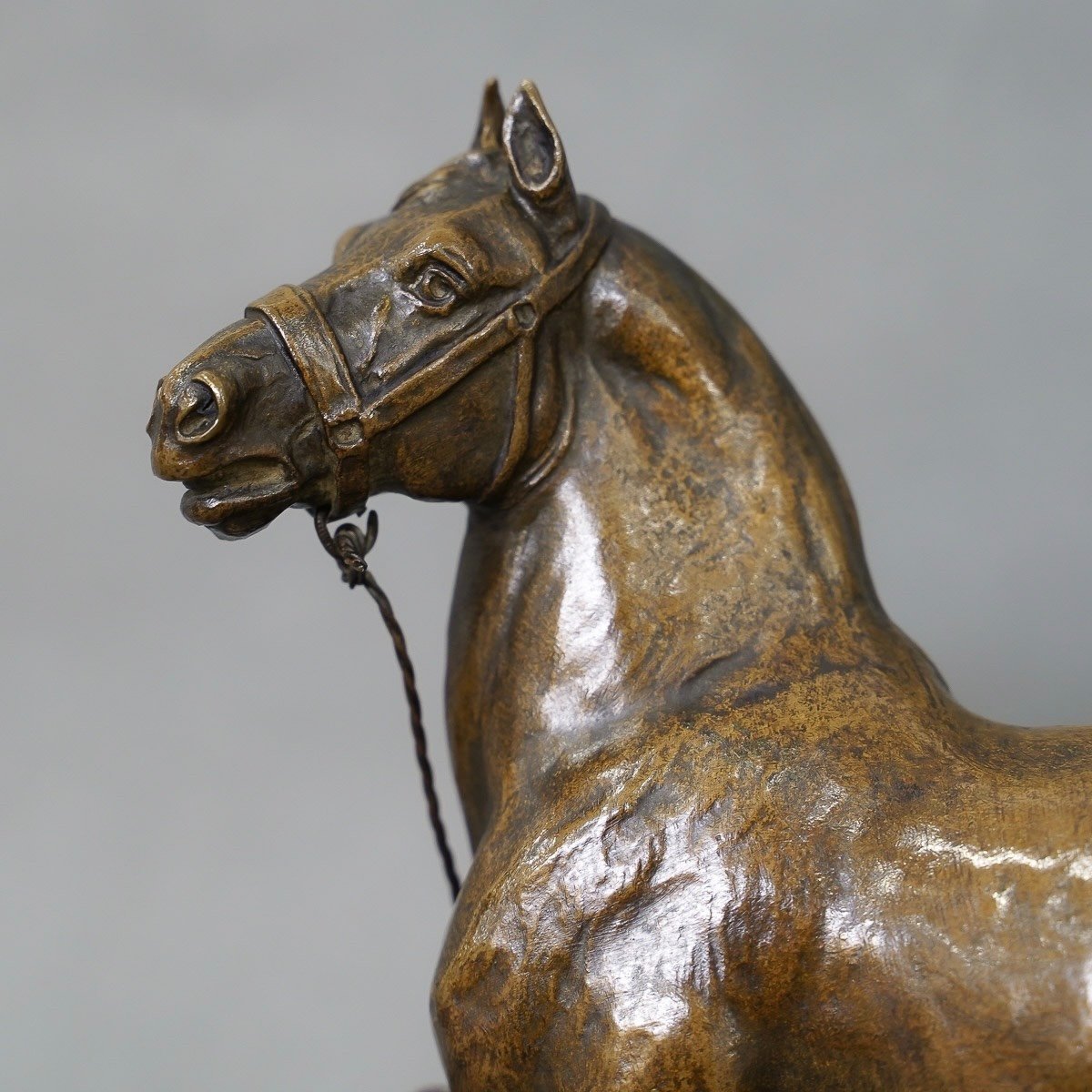 Sculpture - Percheron Horse , Rene Maxime Choquet (1872-1958) - Bronze-photo-3