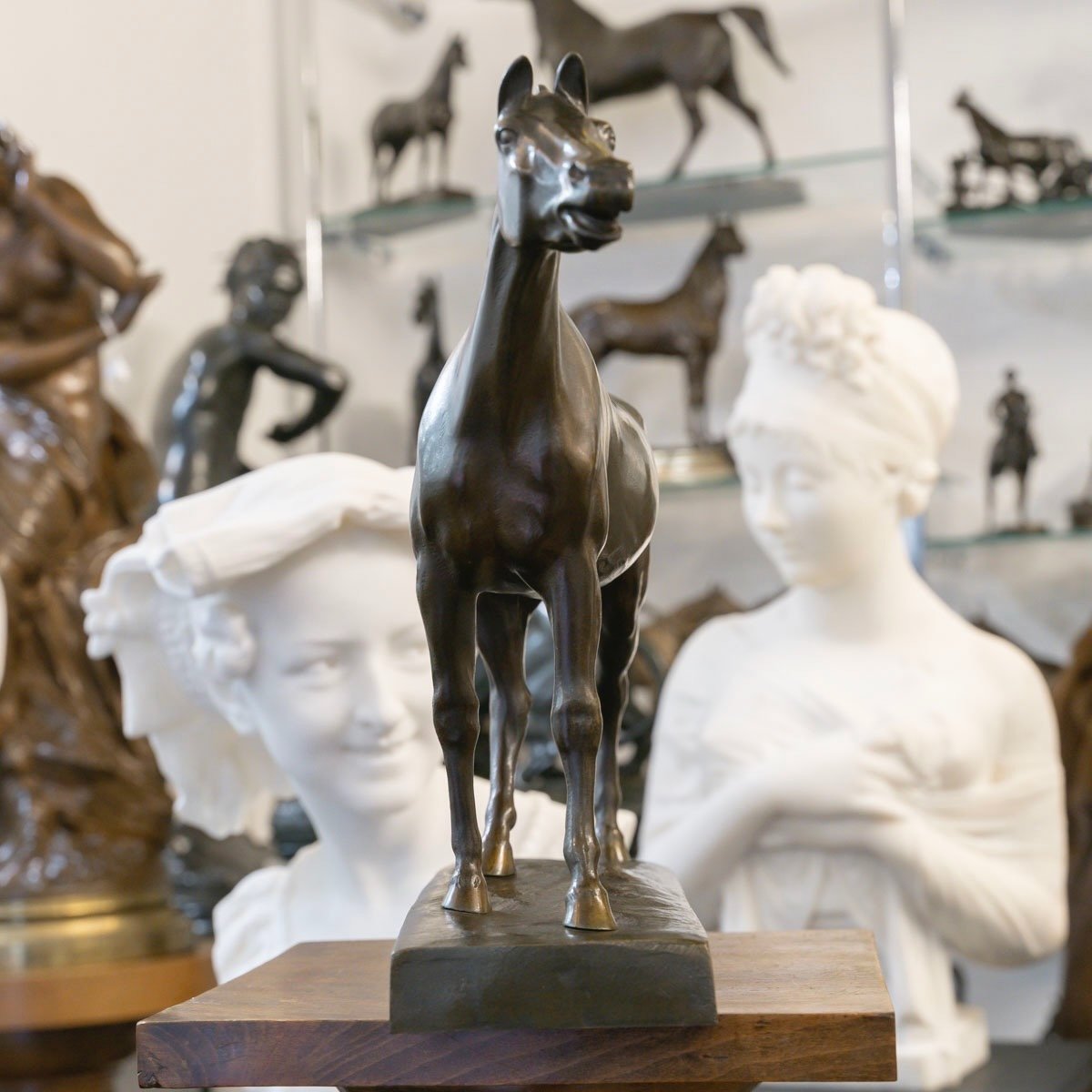 Sculpture  - Le Cheval Libre , Alfredo Biagini (1886 – 1952) - Bronze-photo-4