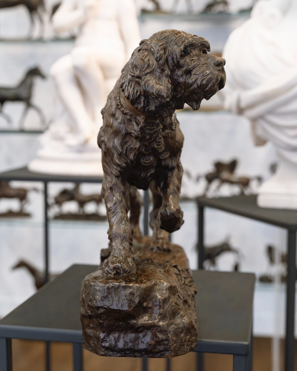 Sculpture  - Le Chien Marco , Charles Valton (1851-1918) - Bronze -photo-4