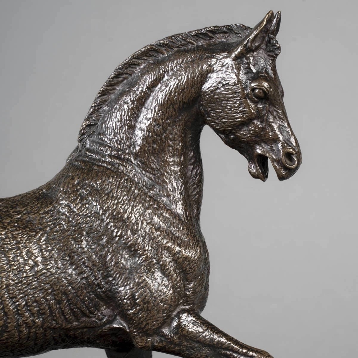 Sculpture - Le Cheval Libre , Paul - Édouard Delabrièrre (1829-1912) - Bronze-photo-2