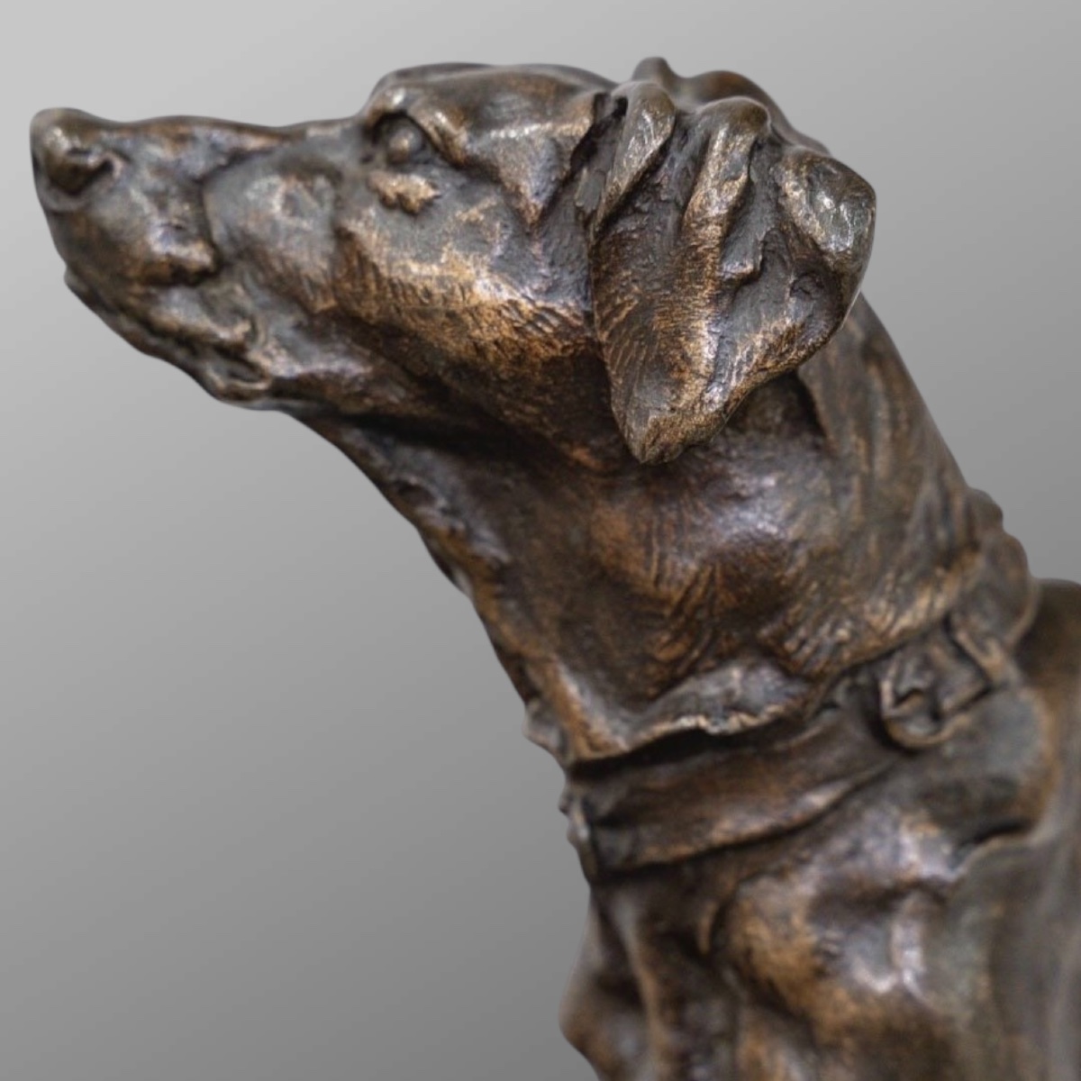 Sculpture - Chien Braque Marly , Pierre - Jules Mêne (1810-1879) - Bronze-photo-2