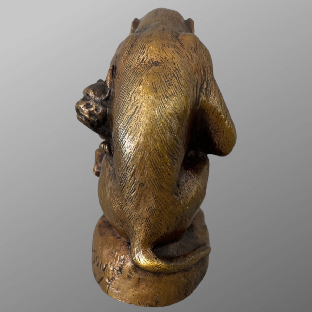 Sculpture - Singe et Chien , Emmanuel Samson (1860-1926) - Bronze-photo-4