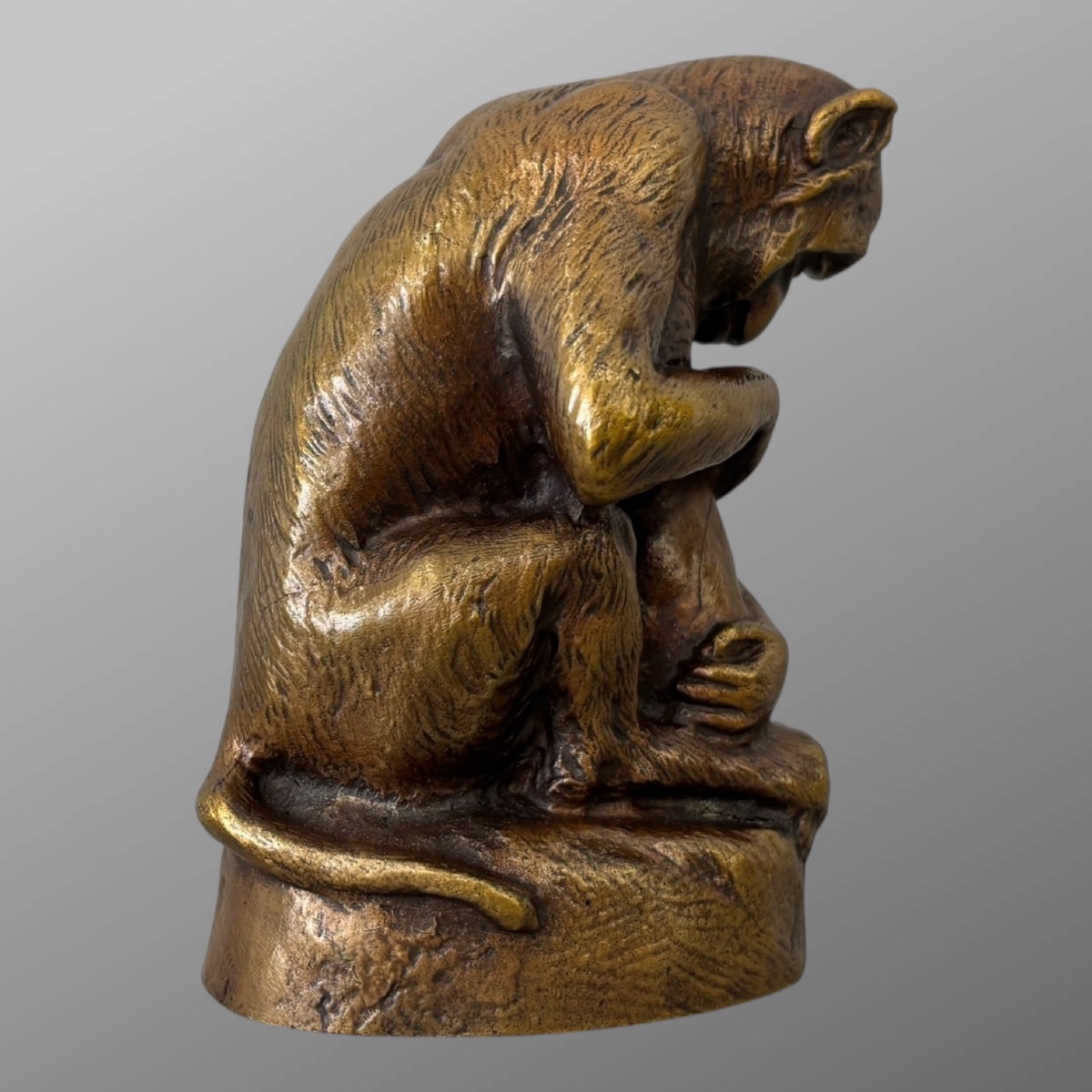 Sculpture - Singe et Chien , Emmanuel Samson (1860-1926) - Bronze-photo-5