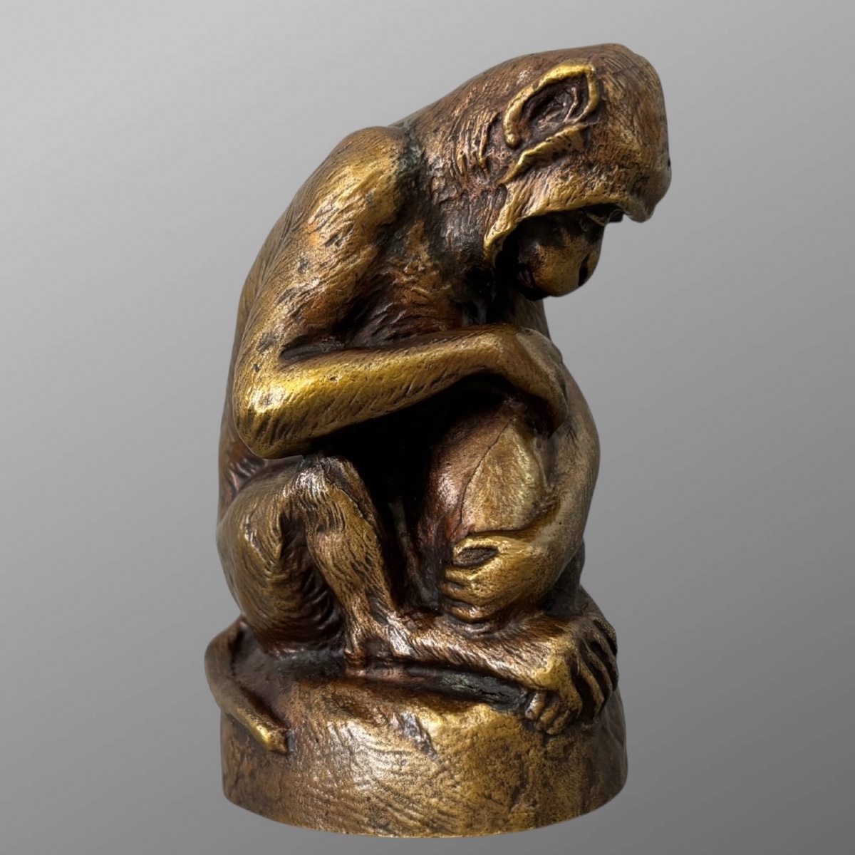 Sculpture - Singe et Chien , Emmanuel Samson (1860-1926) - Bronze-photo-7