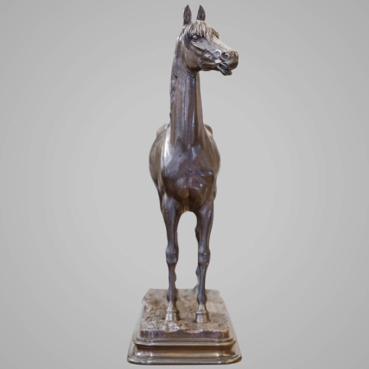 Sculpture - Le Cheval Kaolin , Alfred Dubucand (1828 - 1894) - Bronze-photo-4