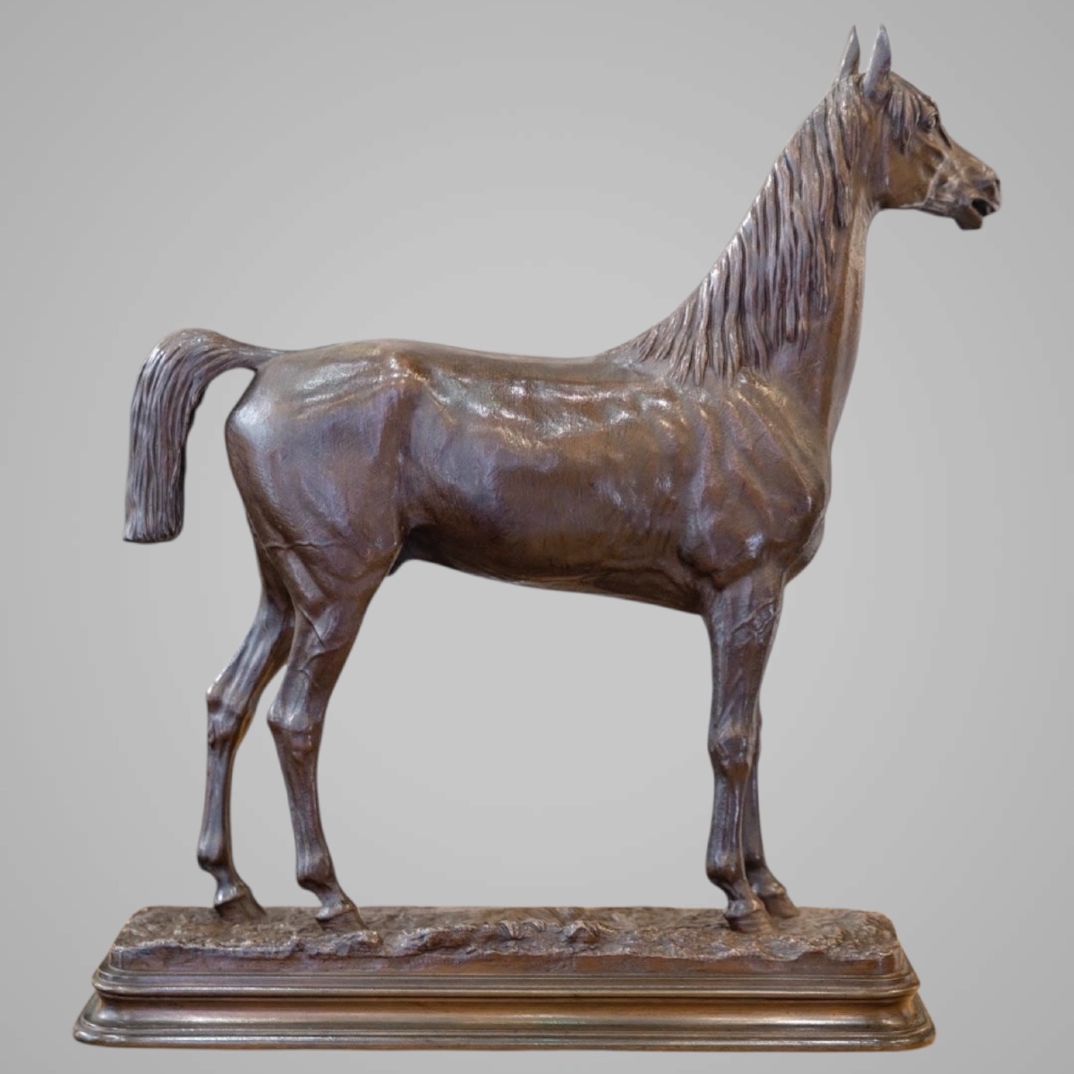 Sculpture - Le Cheval Kaolin , Alfred Dubucand (1828 - 1894) - Bronze-photo-2