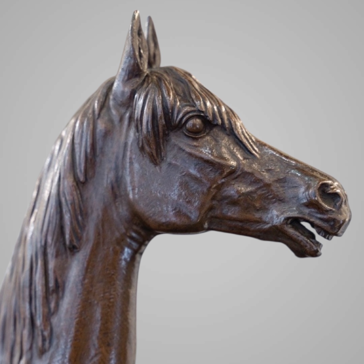 Sculpture - Le Cheval Kaolin , Alfred Dubucand (1828 - 1894) - Bronze-photo-3