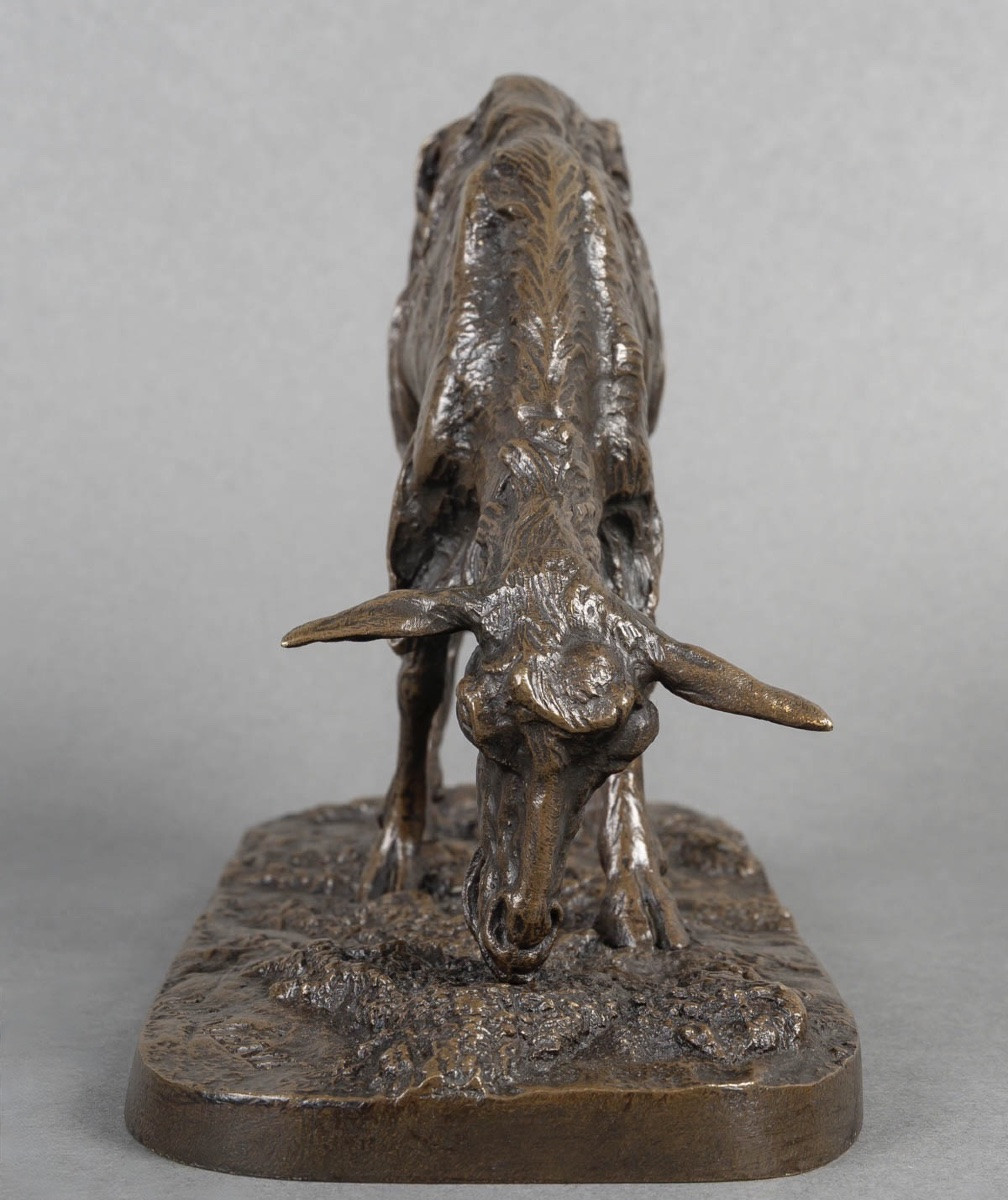 Sculpture - Grazing Goat , Pierre - Jules Mêne (1810-1879) - Bronze-photo-1