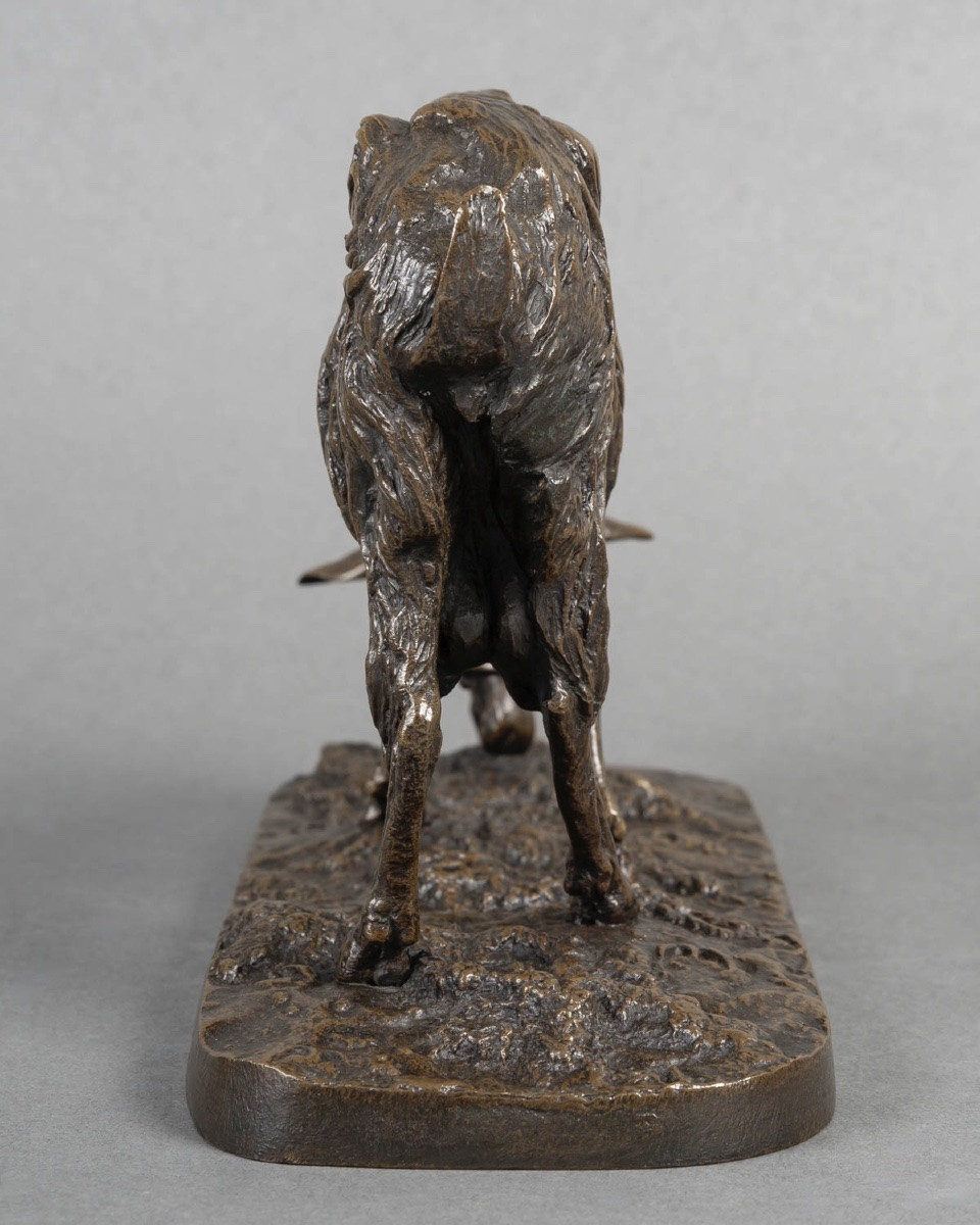 Sculpture - Grazing Goat , Pierre - Jules Mêne (1810-1879) - Bronze-photo-5