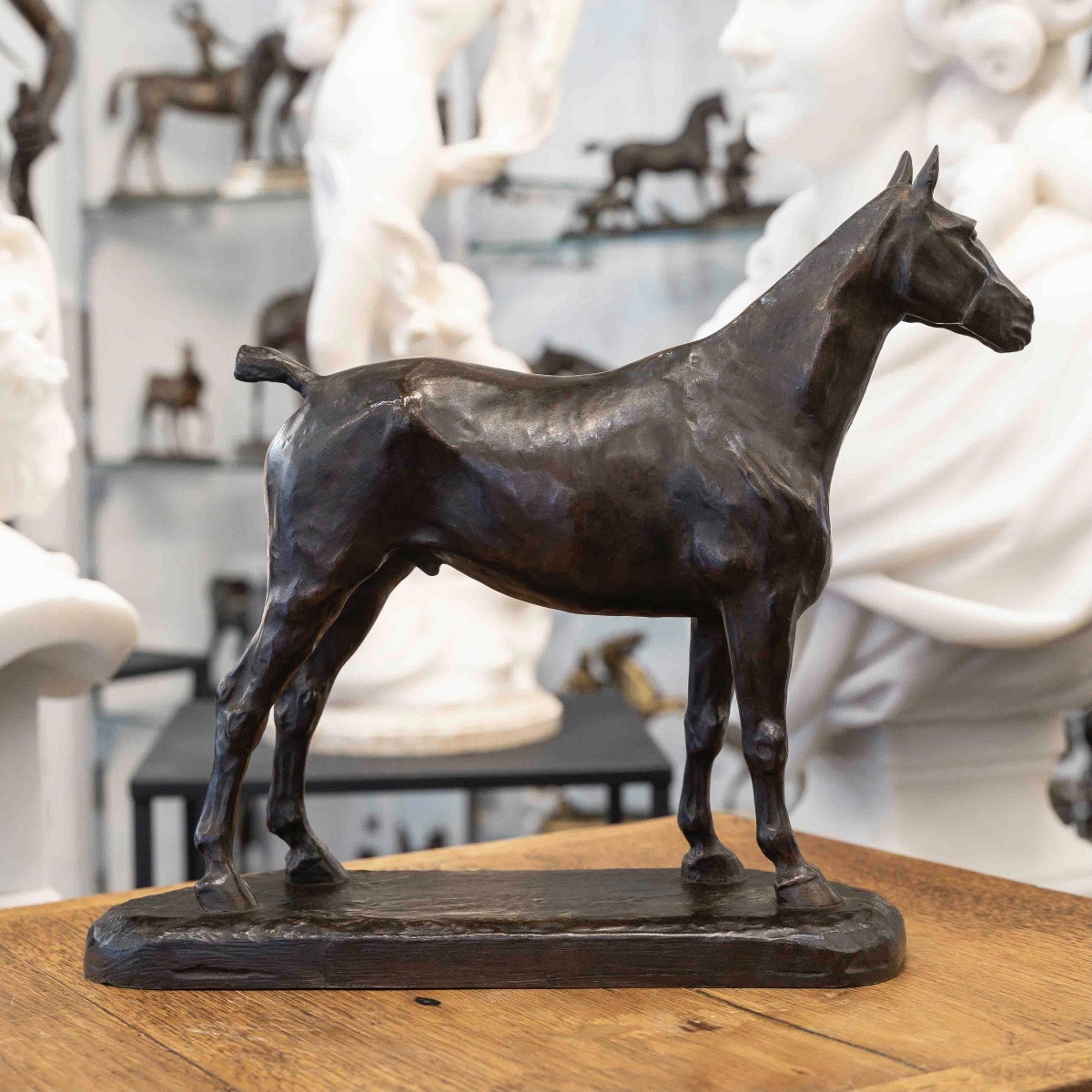 Sculpture  - Cheval à l'arrêt , Edmond Drappier (XIX-XXe siècle) - Bronze-photo-1
