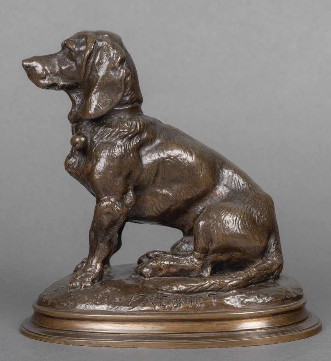 Sculpture - Seated Basset Hound (ravageot) , Emmanuel Fremiet (1824-1910) - Bronze-photo-3