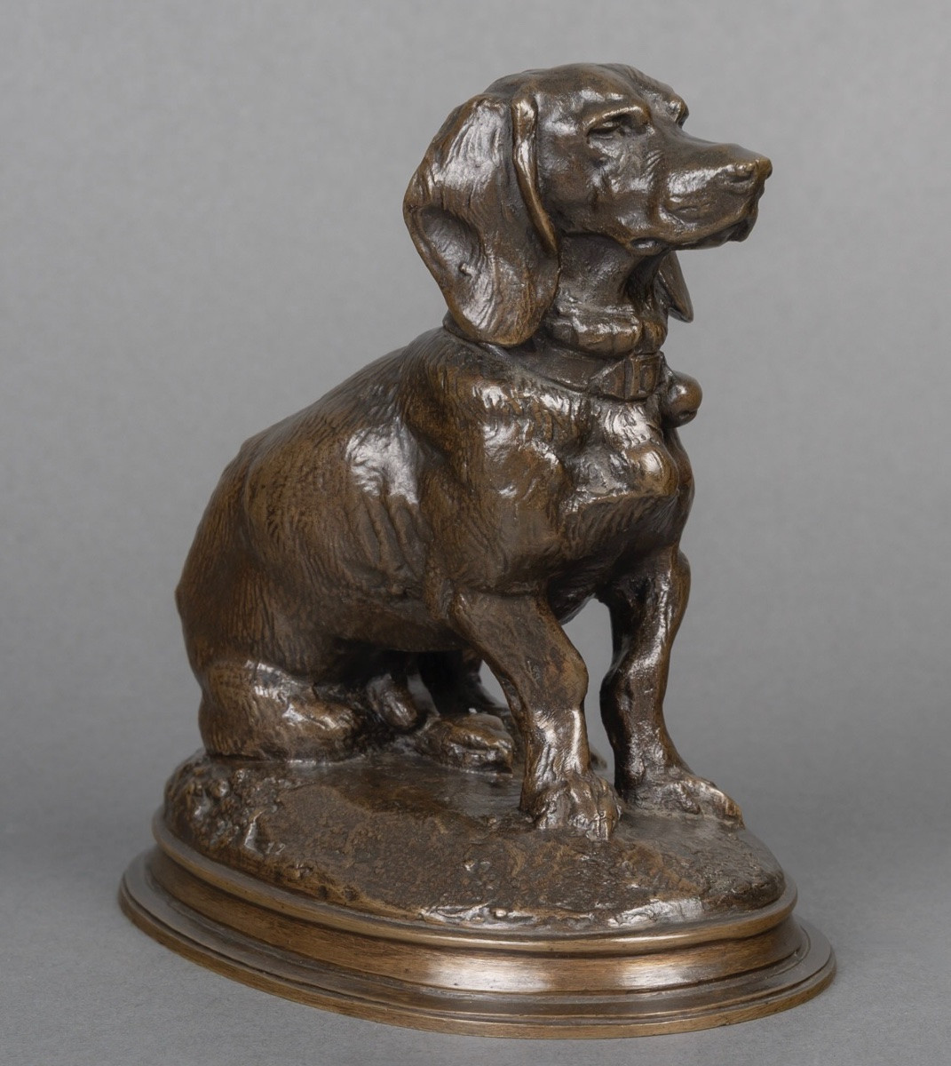 Sculpture - Seated Basset Hound (ravageot) , Emmanuel Fremiet (1824-1910) - Bronze-photo-4