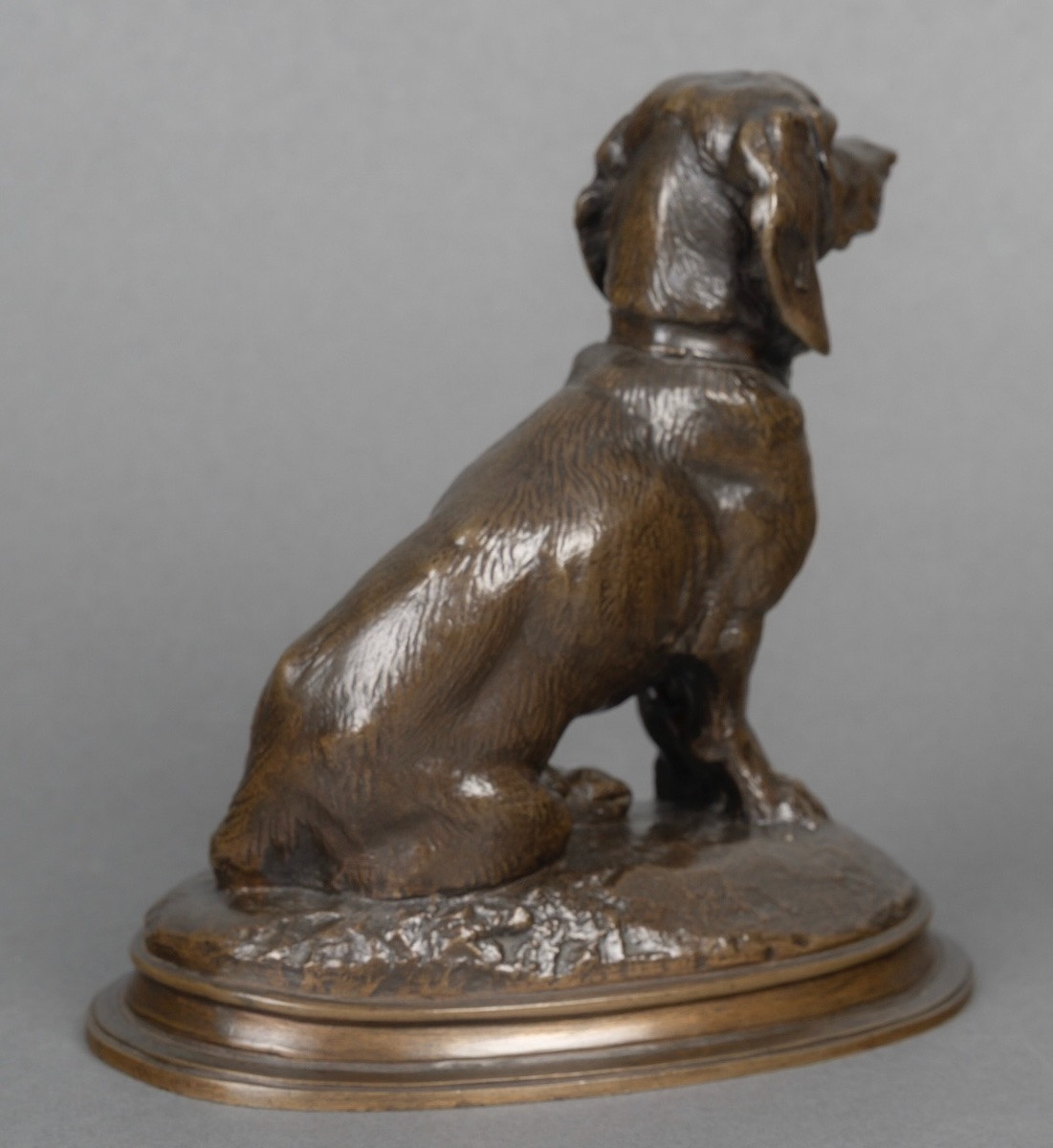 Sculpture - Seated Basset Hound (ravageot) , Emmanuel Fremiet (1824-1910) - Bronze-photo-1