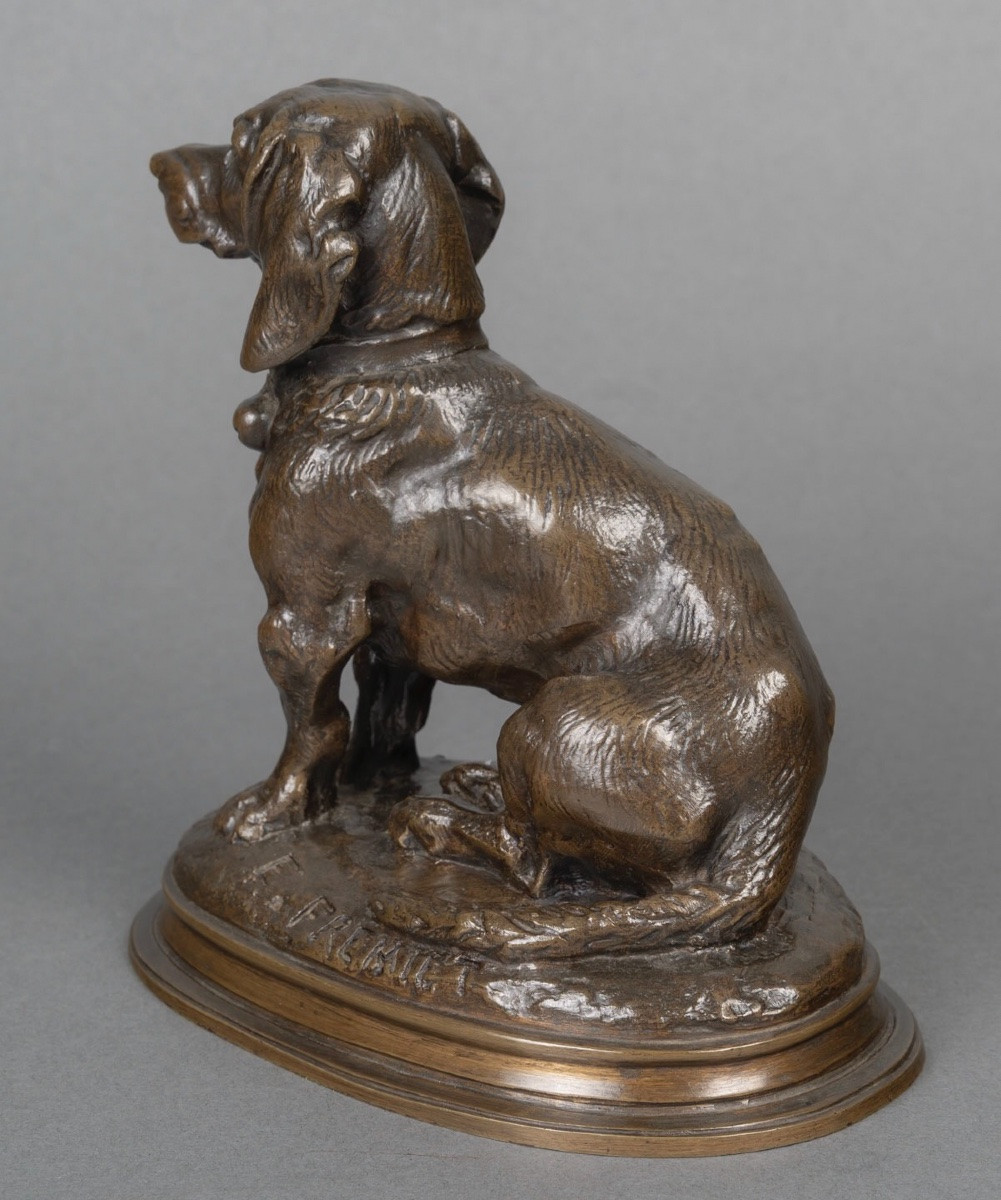 Sculpture - Seated Basset Hound (ravageot) , Emmanuel Fremiet (1824-1910) - Bronze-photo-4