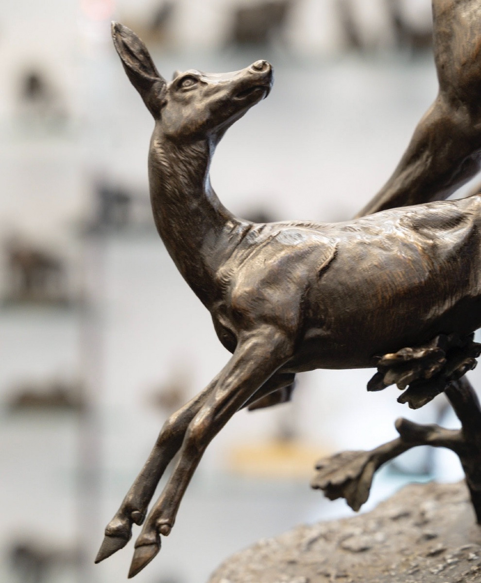 Sculpture - Famille De Cervidés , Clovis - Edmond Masson (1838-1913) - Bronze-photo-5