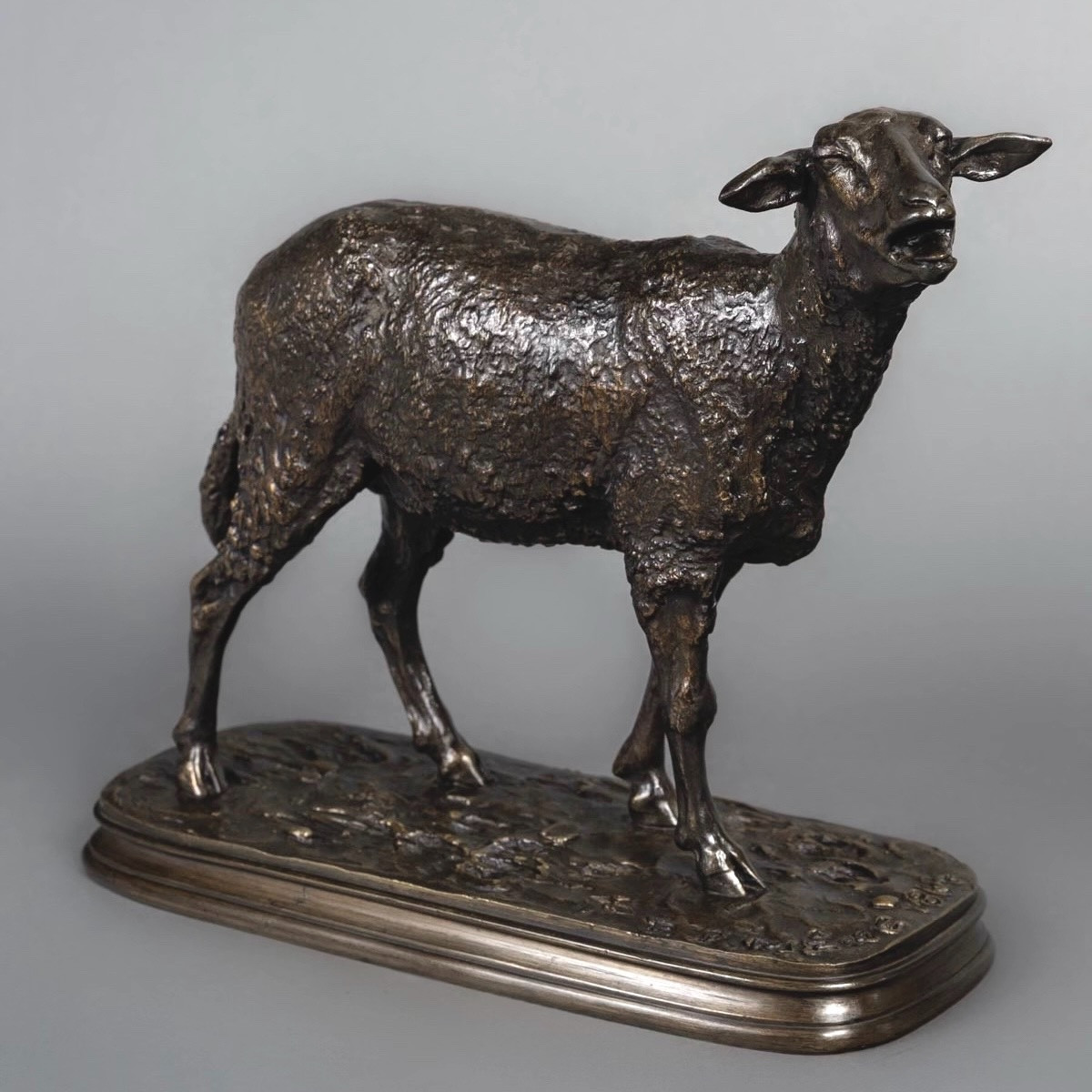 Sculpture - Le Mouton Des Vosges  , Pierre - Jules Mêne (1810-1879) - Bronze-photo-2