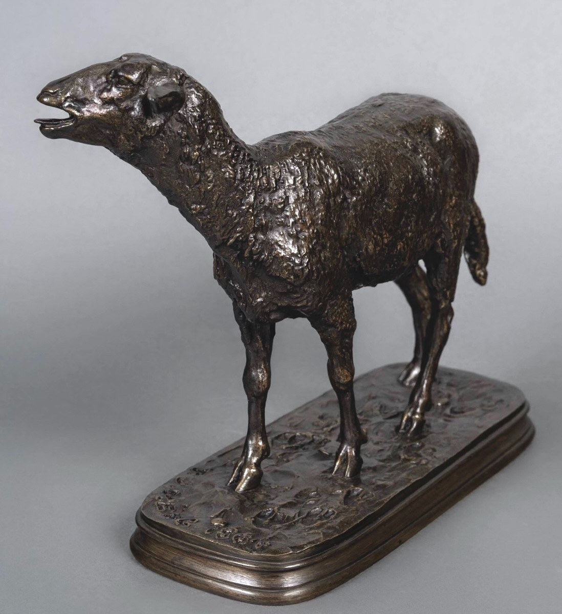 Sculpture - Le Mouton Des Vosges  , Pierre - Jules Mêne (1810-1879) - Bronze-photo-3