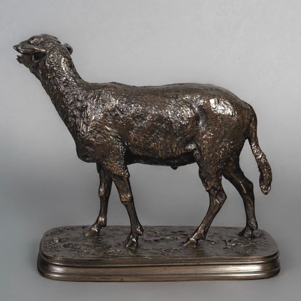 Sculpture - Le Mouton Des Vosges  , Pierre - Jules Mêne (1810-1879) - Bronze-photo-4