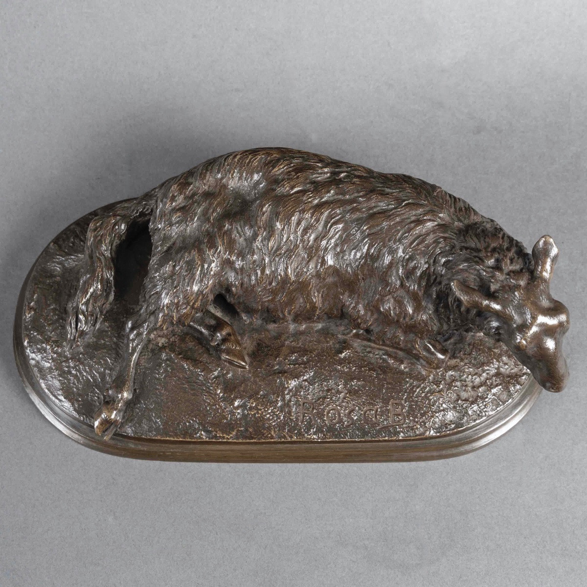 Sculpture - Reclining Sheep , Rosa Bonheur (1822-1899) - Bronze-photo-3
