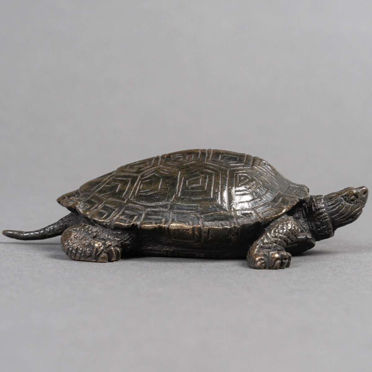 Sculpture - Tortue N°2 , Antoine-Louis Barye (1795-1875) - Bronze -photo-2