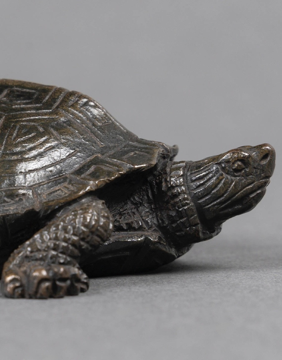 Sculpture - Tortue N°2 , Antoine-Louis Barye (1795-1875) - Bronze -photo-2