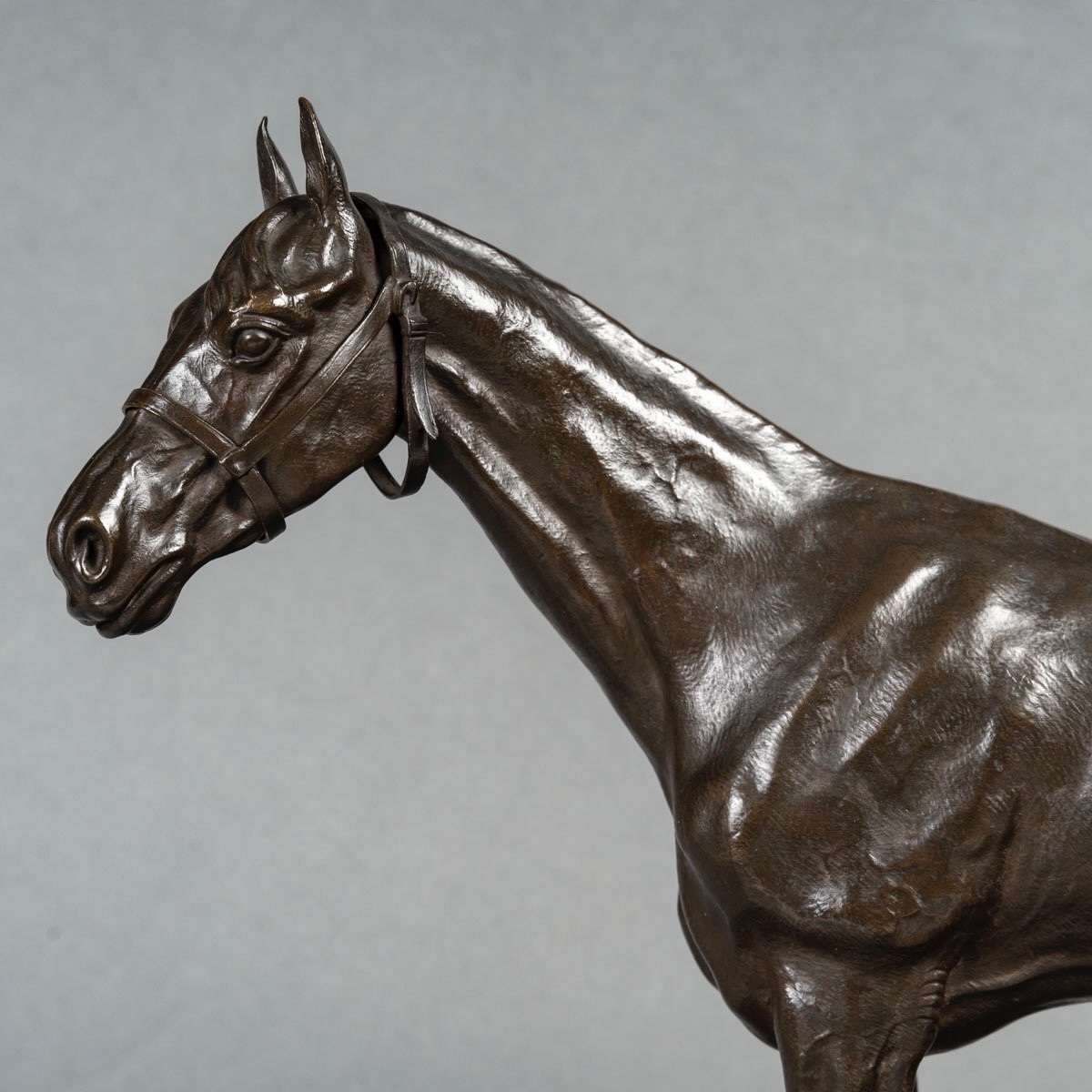 Sculpture - Cheval De Course , Henri De Vains (1851 - 1909) - Bronze-photo-2