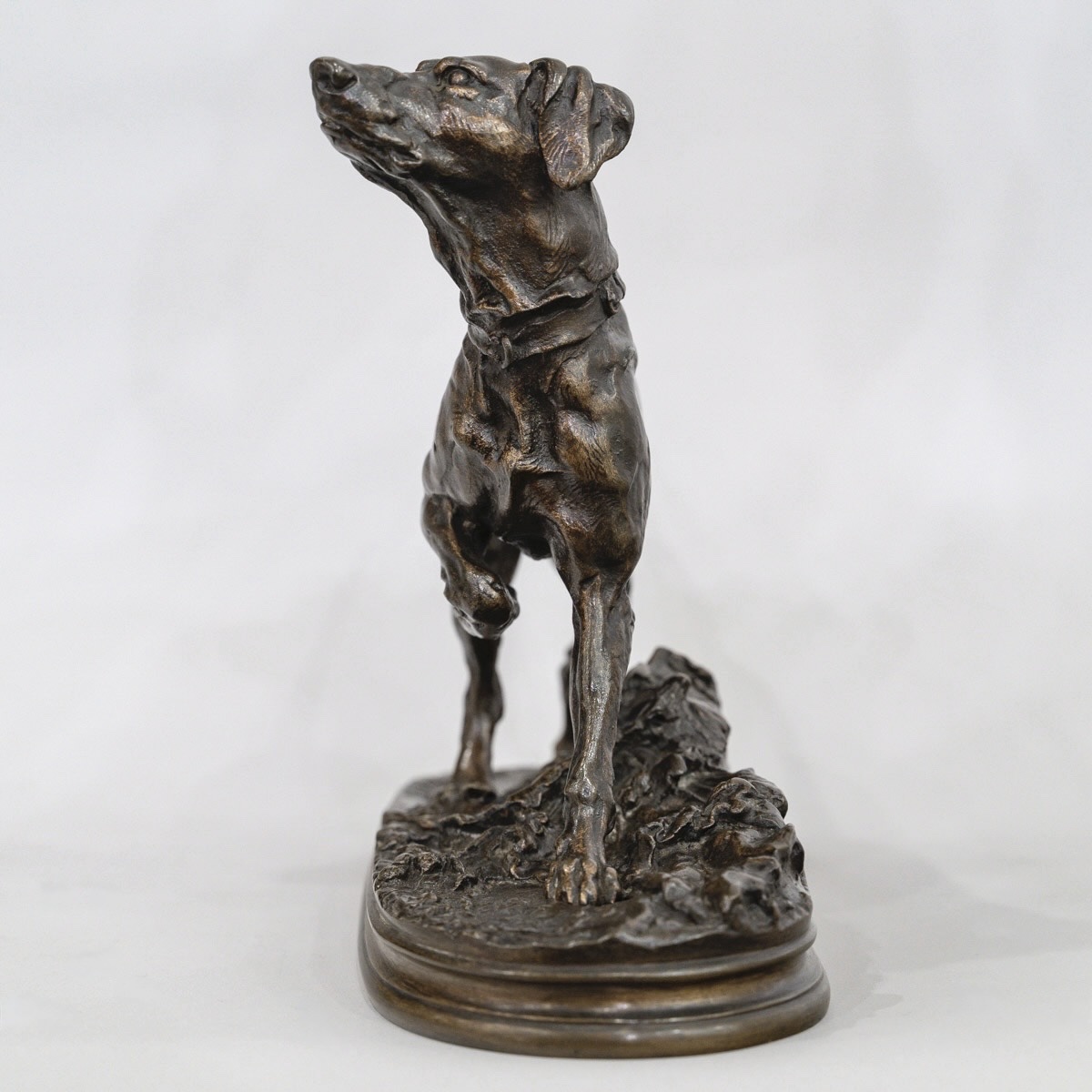 SCULPTURE - MARLY , LE CHIEN BRAQUE PAR PIERRE - JULES MÊNE (1810-1879) - BRONZE-photo-4