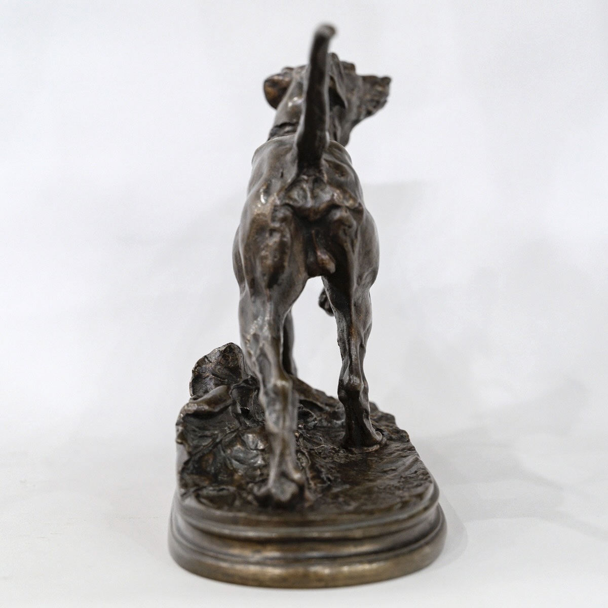 SCULPTURE - MARLY , LE CHIEN BRAQUE PAR PIERRE - JULES MÊNE (1810-1879) - BRONZE-photo-2