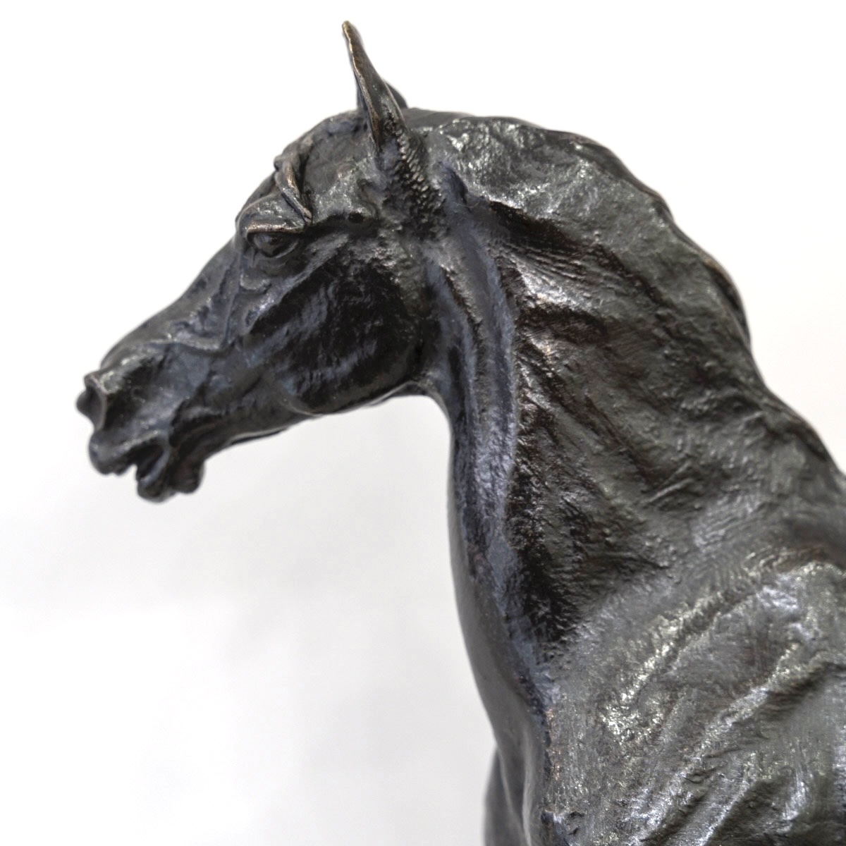 Sculpture - "Le Cheval Libre" , Christophe Fratin (1801-1864) - Bronze-photo-2