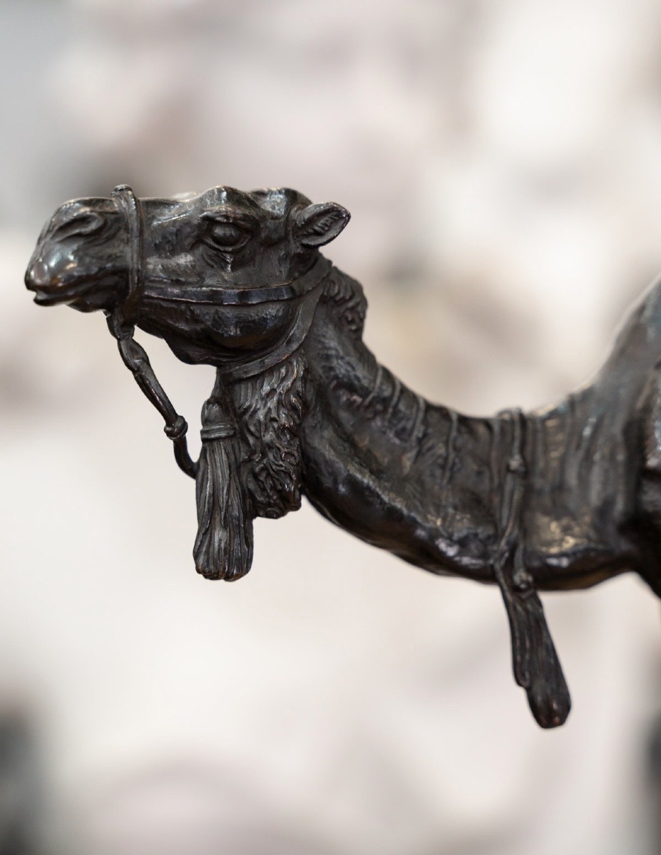 Sculpture - The Harnessed Dromedary , Alfred Barye (1839–1895) - Bronze  -photo-3